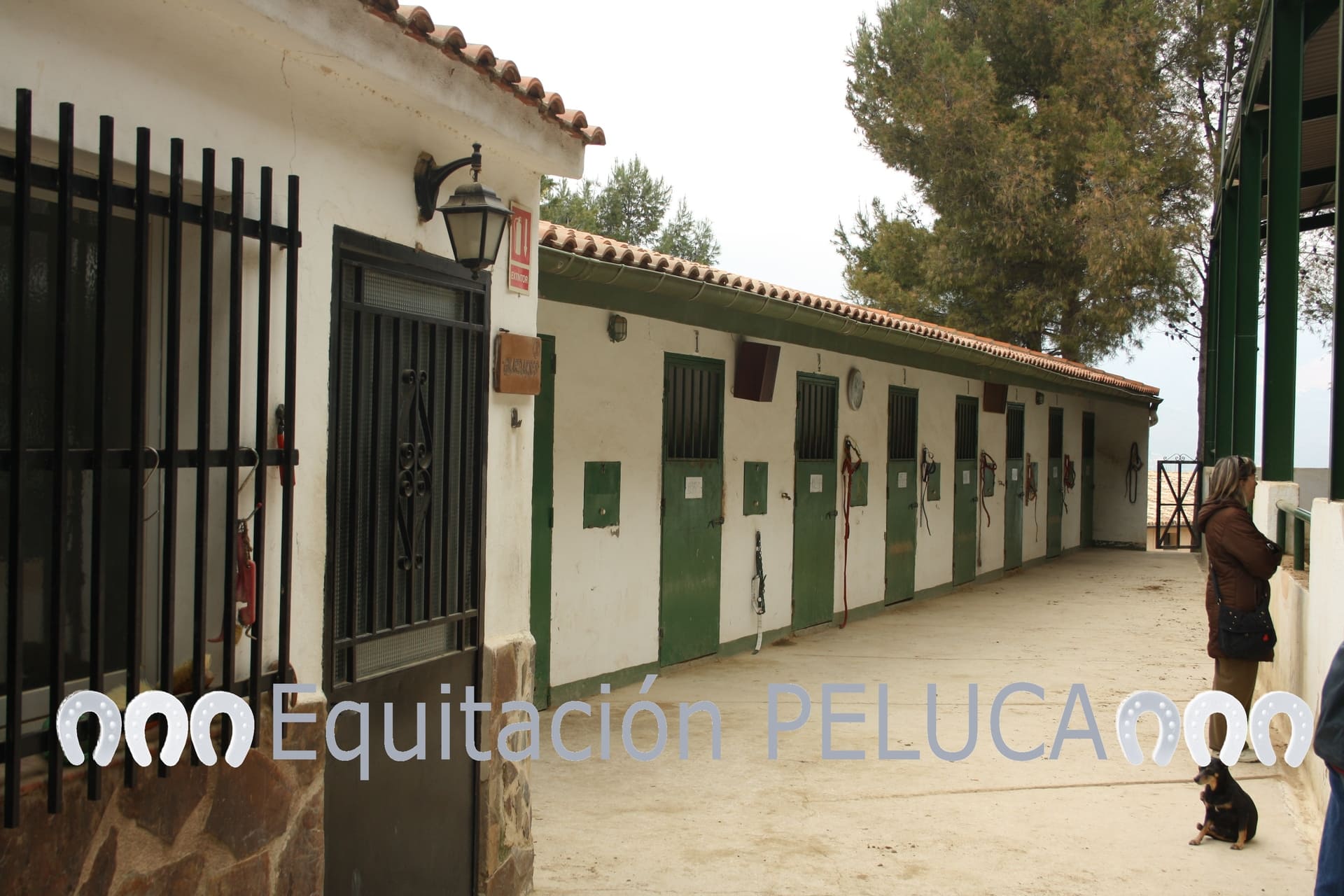 Equitación Peluca