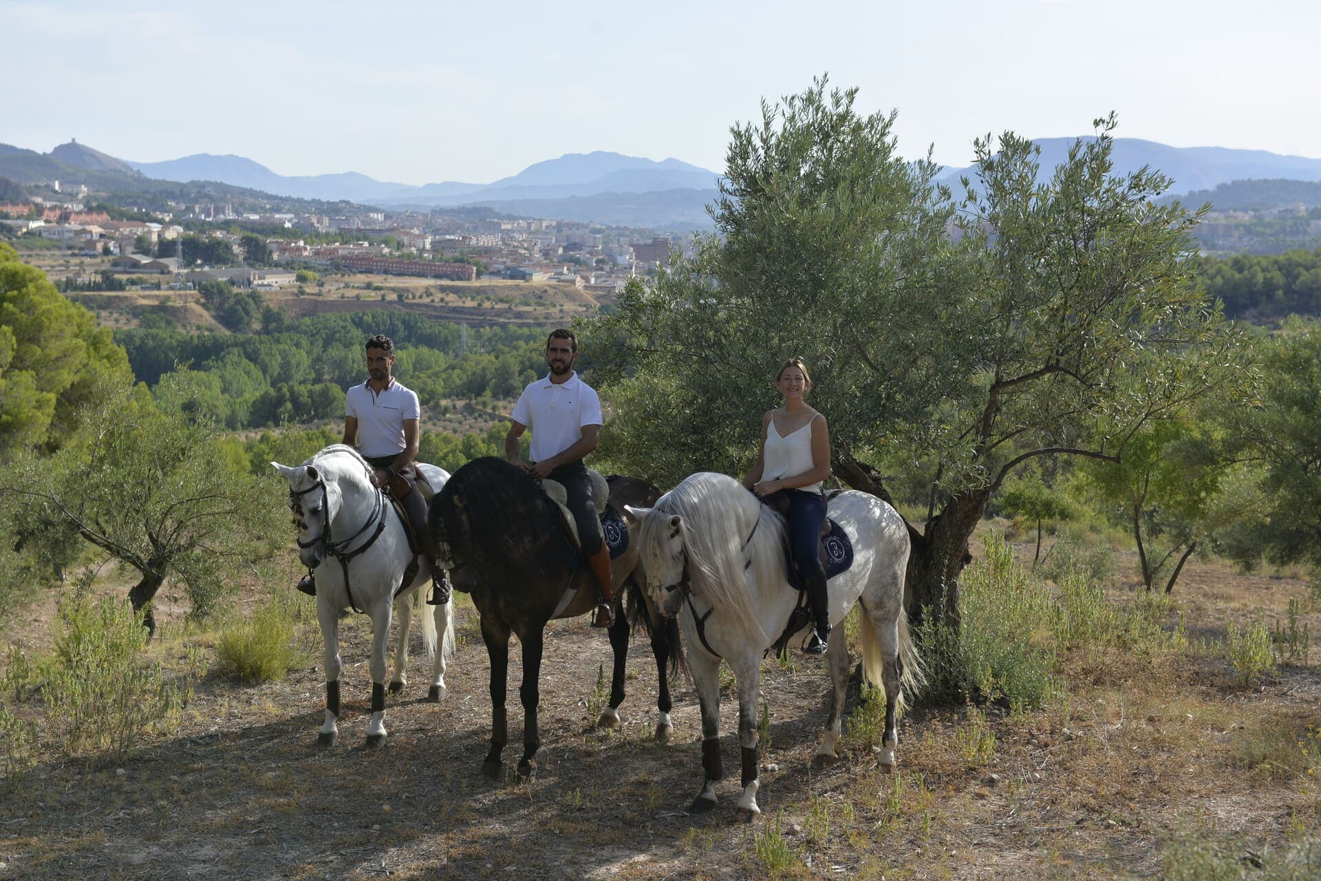 Paseos a caballo Alicante Interior_DSC0245