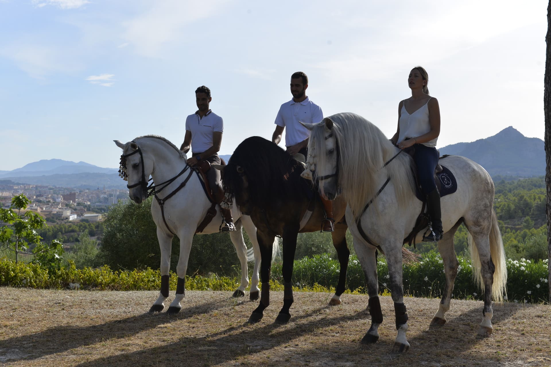 Paseos a caballo Alicante Interior_DSC0255