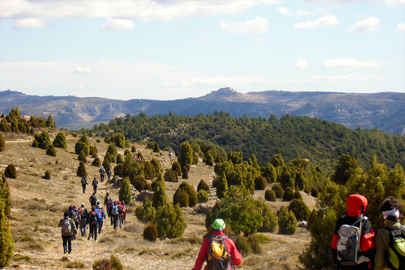 Paisajes y aromas de Alicante Interior en la Sierra de Mariola