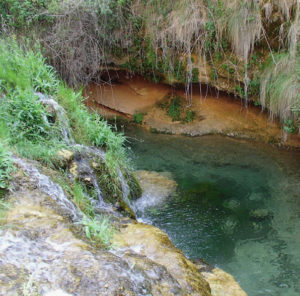 Nacimiento del río Vinalopó 