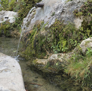 Font del Xorrador (Alcoy)