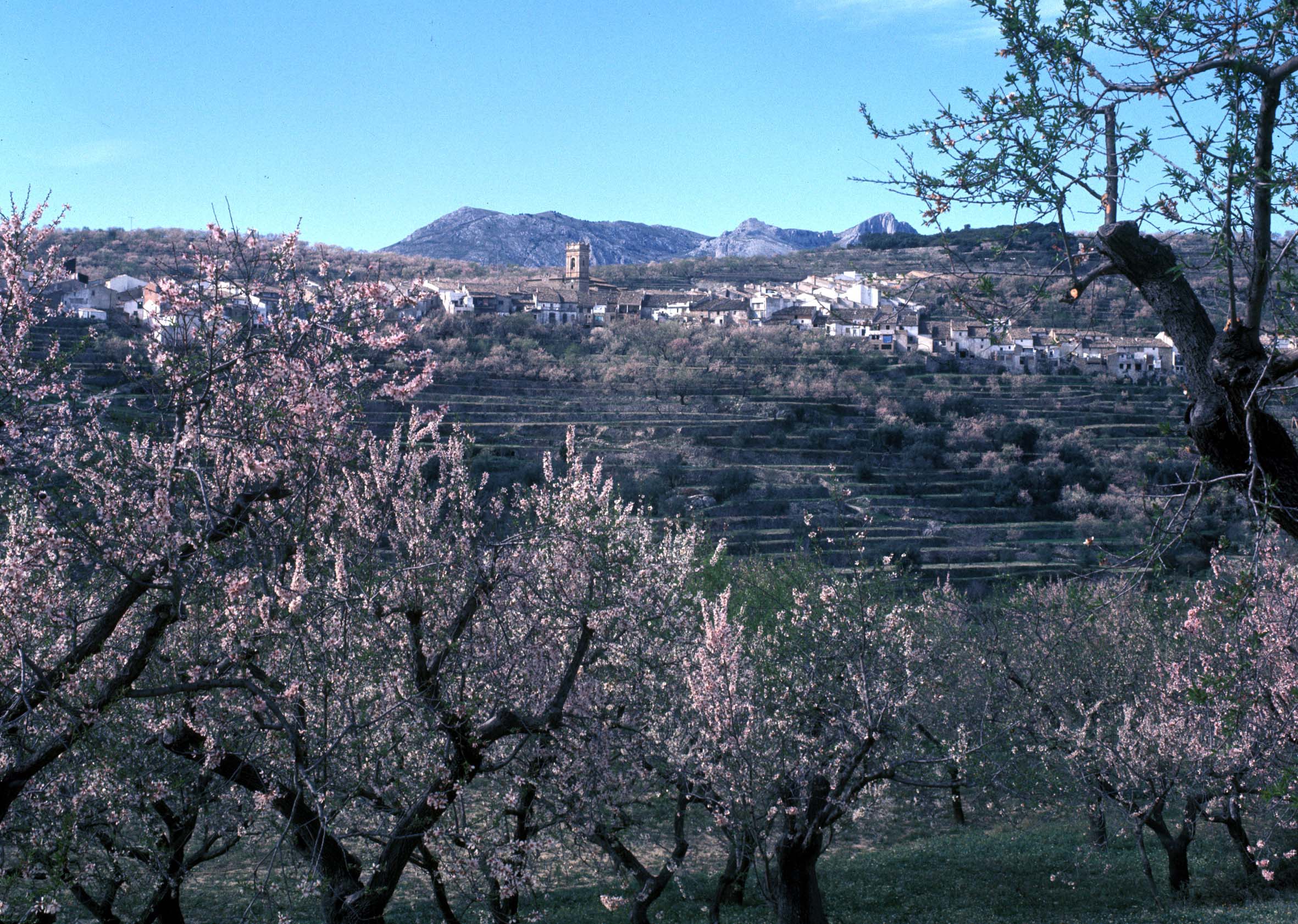 Tàrbena, aire de montaña con vistas al mar