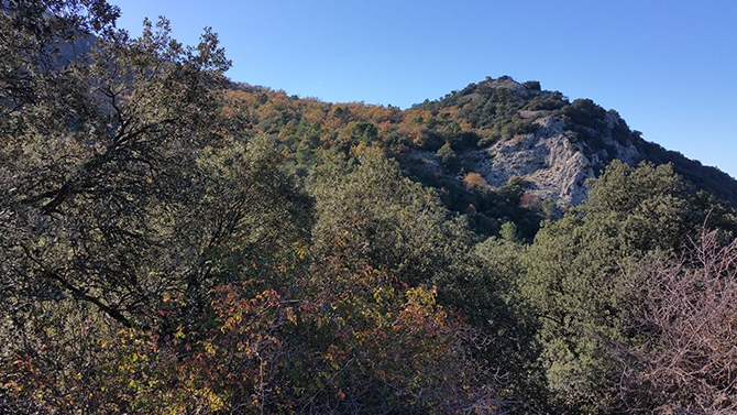 El interior de Alicante respira gracias al pulmón verde de la Font Roja