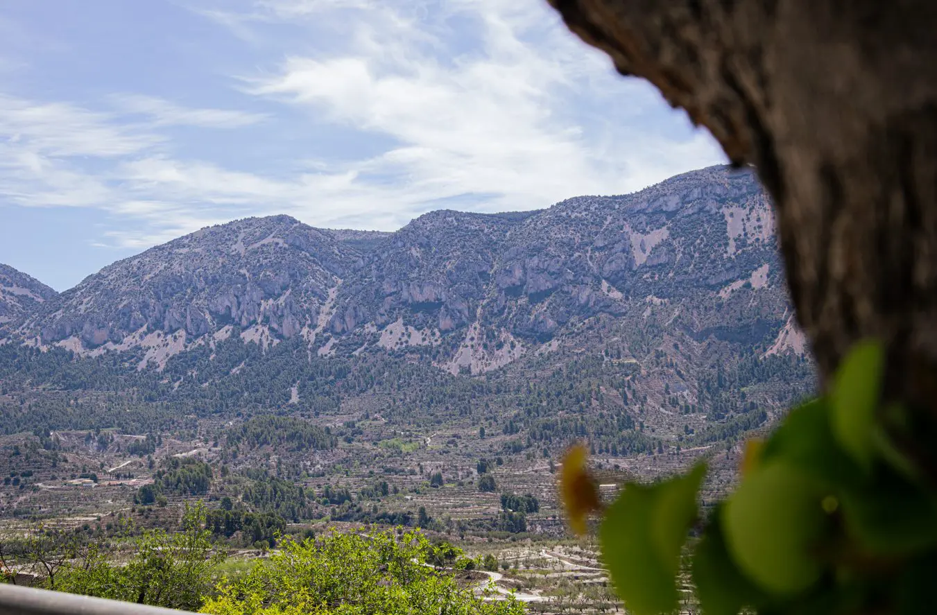 VALL DE SETA